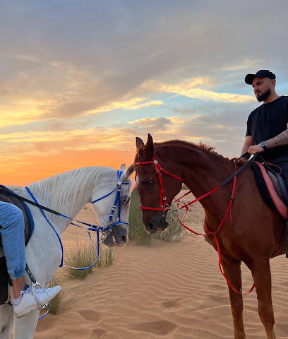 UAE Horses - Dubai - +971 54 442 1098