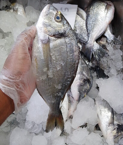 Zakher Fish EST - Ajman - +971 50 830 1614