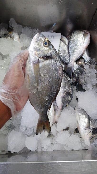 Zakher Fish EST - United Arab Emirates|Zakhir - Abu Dhabi|Nhayyan Al Awwal St|4MXR+6VP