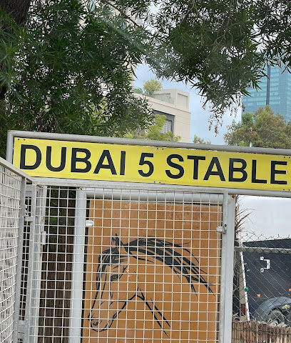 Dubai 5 Stable - Dubai -