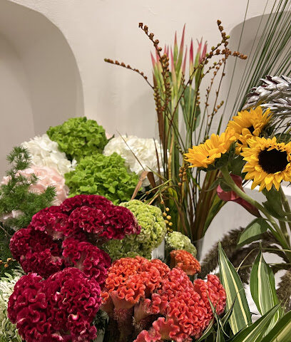 The Vine Boutique - Ajman - +971 50 108 0500