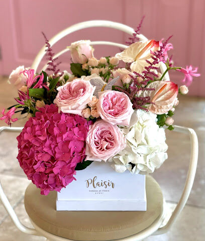 Plaisir Cadeaux et Fleurs | Flower Shop | Order Flowers Online - Ajman - +971 56 568 7373