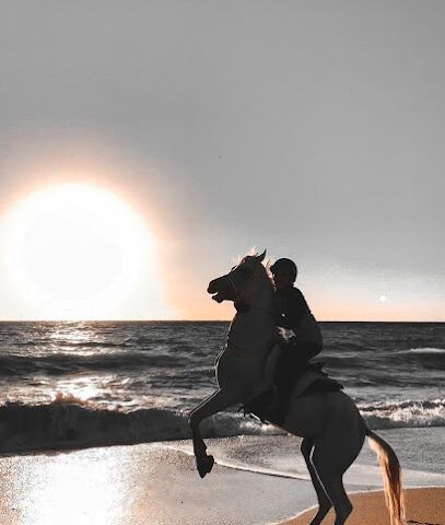 RD Stables - Dubai - +971 50 194 9889