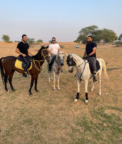 Alrem stable - Dubai - +971 52 202 9037