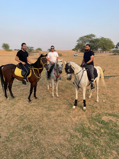 Alrem stable - United Arab Emirates|Alzubair - Sharjah|9JHV+QXW
