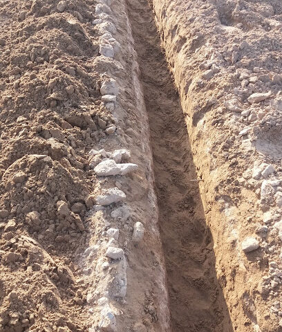 Qassim Bastaki Farm - Ajman -