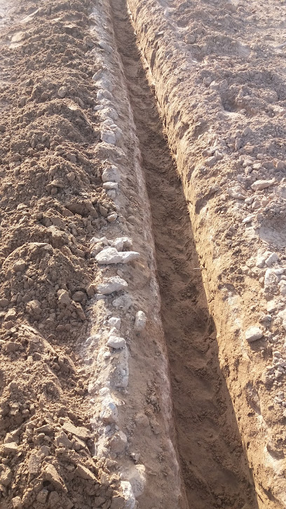 Qassim Bastaki Farm - United Arab Emirates|Muwailha - Ras al Khaimah|JXG3+G2X