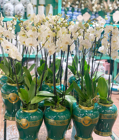 Tiffany flowers ... تيفاني للزهور‎ - Ajman - +971 55 797 1021