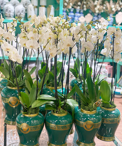 Tiffany flowers ... تيفاني للزهور‎ - United Arab Emirates|الجرف - الفيلا الأولى - Ajman|136 St