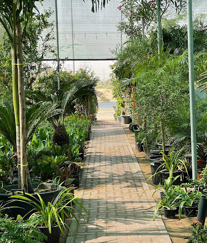 Al warsan nursery - Dubai - +971 54 780 8053
