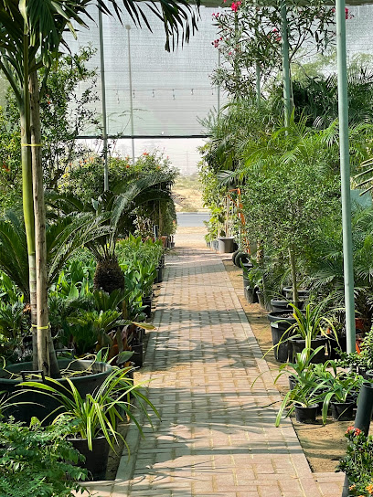 Al warsan nursery - United Arab Emirates|Warsan 3 - Dubai