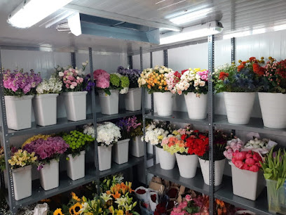 FNP Al Ain - Flowers, Plants, Gifts & Cake Shop - Ajman - +971 3 753 2213