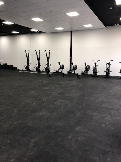 Elite Calisthenics Gym - United Arab Emirates|Al Nuaimia 1 - Ajman|9FQ9+M85