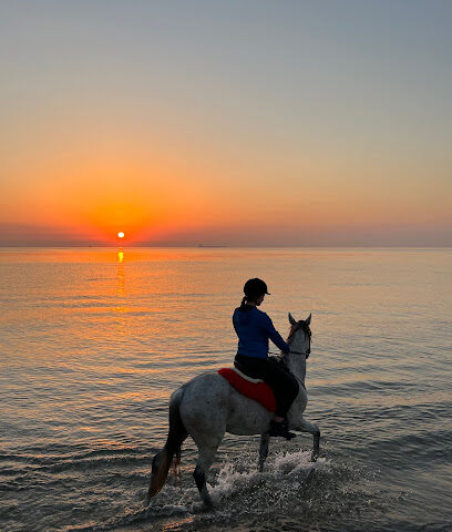 A7 STABLES - Dubai - +971 56 133 3884