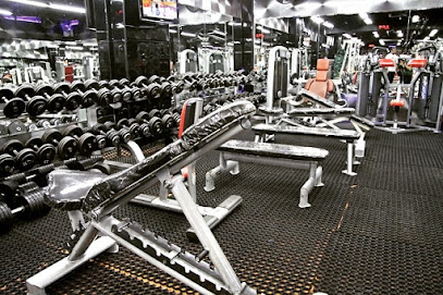 Weiders Gym - Dubai - +971 50 772 7119