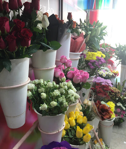 Al Sawsan Flowers Trading - Ajman - +971 4 336 2444