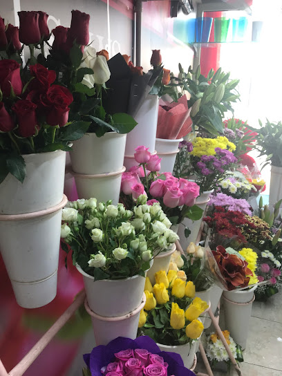 Al Sawsan Flowers Trading - United Arab Emirates|Dubai|Oud Metha Near Lamcy Plaza Opp To Aroushi Ladies Saloon Al Yousuf Building Shop No 8