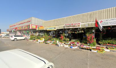 LEBANON PLANTS NURSERY - Dubai - +971 55 227 1971
