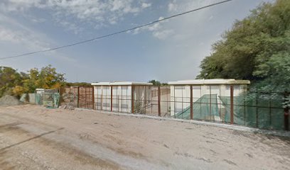 Proscape LLC - Plants Nursery - Dubai -