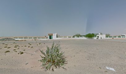 Al Atalal Driving Institute ( Parking Training Place) - Ajman -