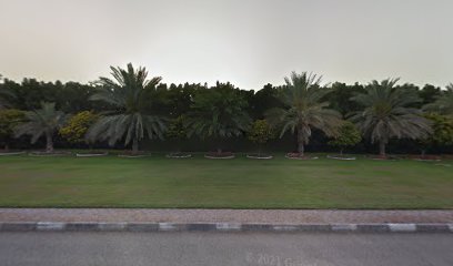 سوق الخيل Horses Souq - Dubai -