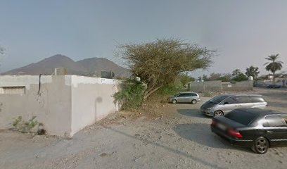 Jazeera - Dubai - +971 55 799 8299