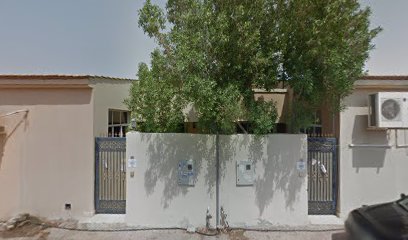 SATELLITE ELECTRONICS EST. - Ajman -