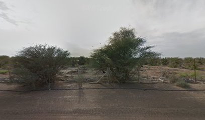 مزرعة خلفان الشامسي - Ajman -