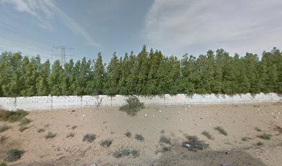 AL AWADHI FARM - Ajman - +971 50 366 6275