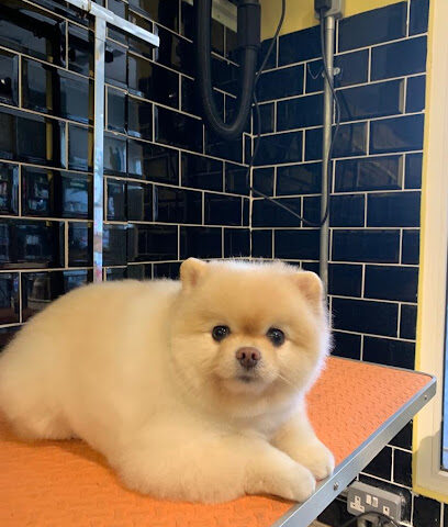Dogs deluxe - Ras al Khaimah - +971 50 336 0183