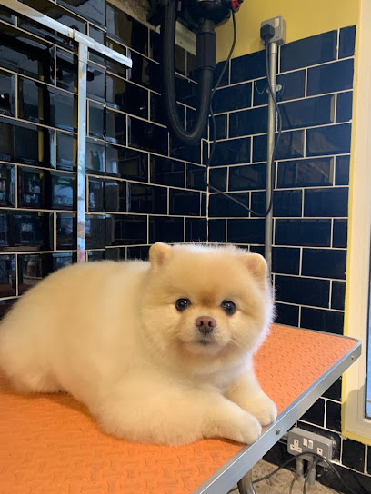 Dogs deluxe - United Arab Emirates|Al Safa - Al Safa 1 - Dubai|56MQ+XC4