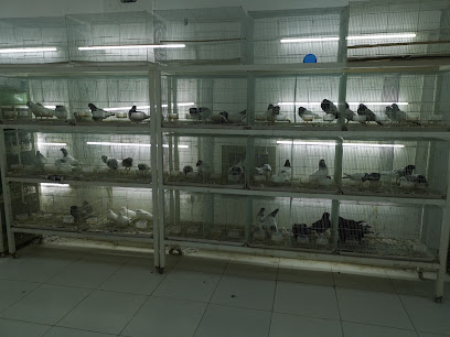 Aelchenov Fish Trading and live birds and animals - Ras al Khaimah - +971 54 400 1190