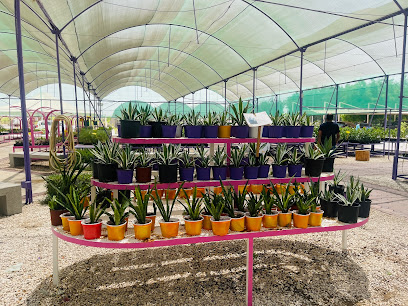 DUBAI NURSERY L.L.C - Ras al Khaimah - +971 55 620 0102