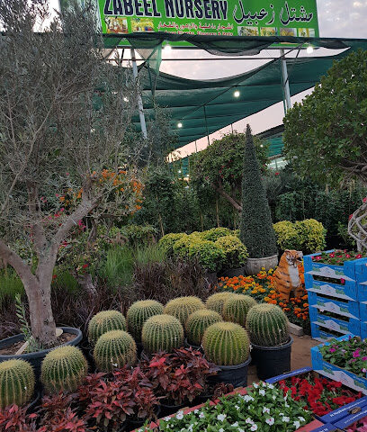 Zabeel Nursery مشتل زعبيل - Ras al Khaimah - +971 56 438 9009