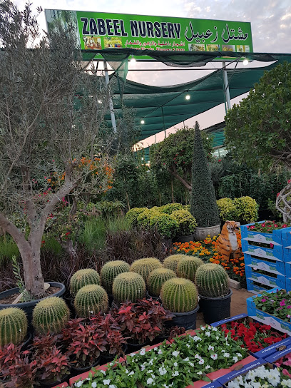 Zabeel Nursery مشتل زعبيل - United Arab Emirates|Warsan 3 - Dubai|1 Dina Home St