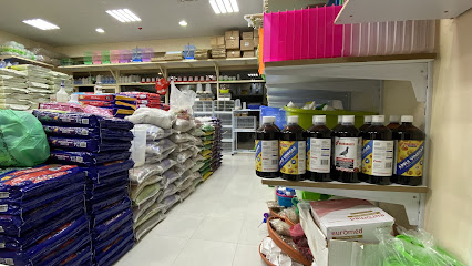 Samnan Bird Accessories Tr - Ras al Khaimah - +971 50 943 7274