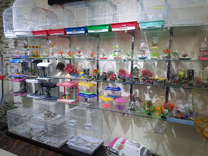 Majestic Pets - Ras al Khaimah - +971 56 566 7479