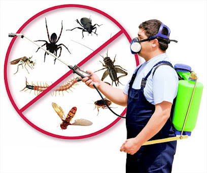 United pest control - Ras al Khaimah - +971 2 552 8100