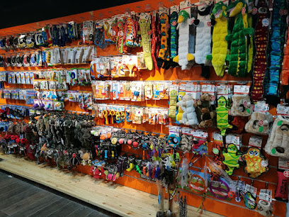 Pet Corner Al Barsha - Ras al Khaimah - +971 4 581 4443