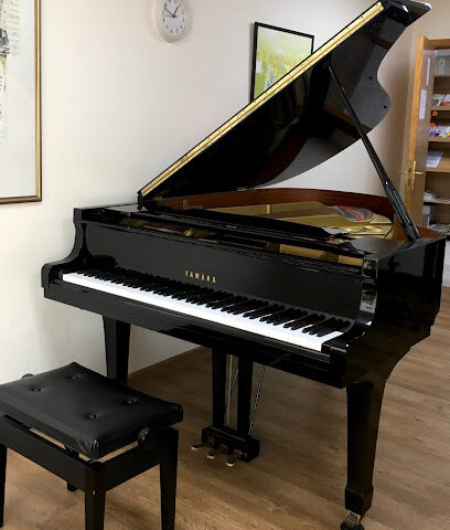 International Music Institute - Fujairah - +971 2 621 1949