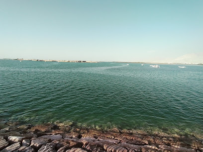 mangroves public near Al Rams Corniche - Khor Fakkan -