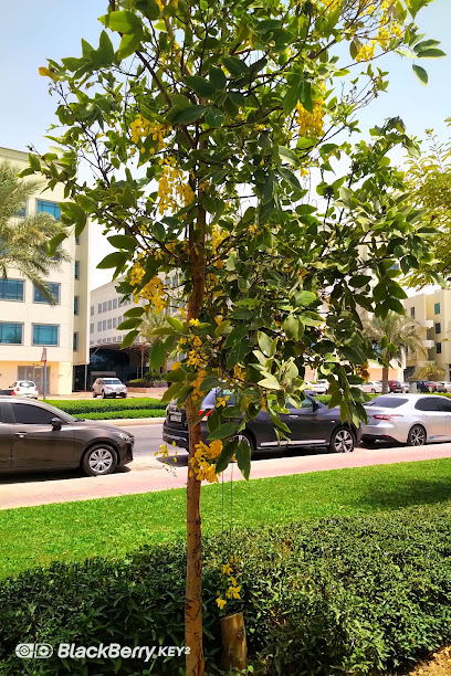 Sukoon Insurance (formerly Oman Insurance Company) - DOZ - United Arab Emirates|Academic City - Dubai|Dubai Outsource Zone