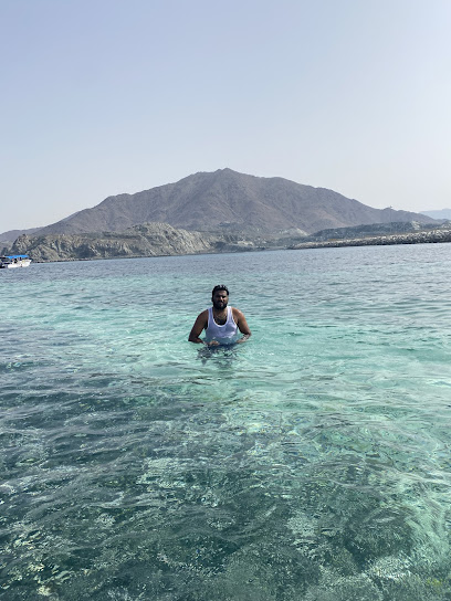 Shark Island - United Arab Emirates