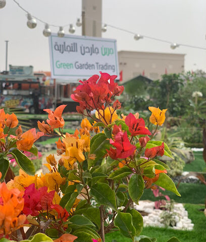 Green Garden Trading LLC - Ras al Khaimah - +971 50 303 3308