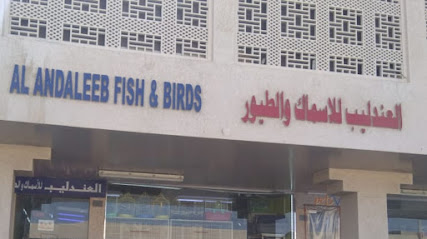 Al Andaleeb fish and birds - Ras al Khaimah - +971 50 542 1410