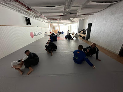 Delariva Jiu Jitsu Abu Dhabi - Dubai - +971 50 709 7276