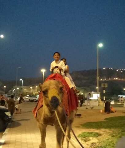 Green Mubazzara Horse Riding - Fujairah -