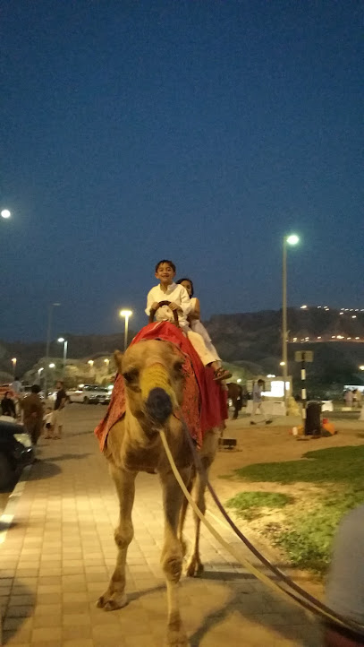 Green Mubazzara Horse Riding - United Arab Emirates|Mbazzarah Al Khadra - Abu Dhabi|4P4X+VPW