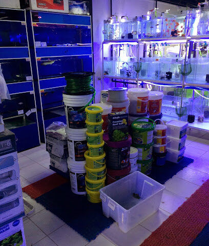 B.P.K GLOBAL TRADING - Ras al Khaimah - +971 56 476 9400