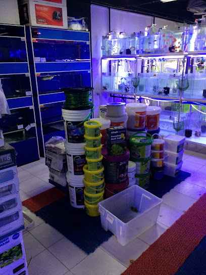 B.P.K GLOBAL TRADING - United Arab Emirates|Umm Ramool - Dubai|29 5th St